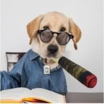Cute Cigar Shaped Voice Toy For Dog